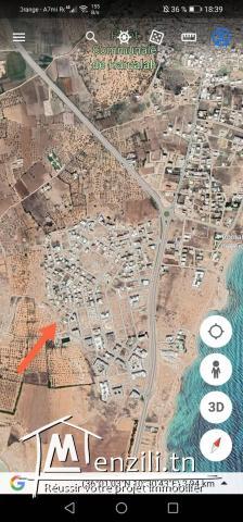 terrain AFH à vendre hergla