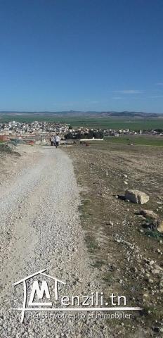 Un terrain constructible de 18263 m²