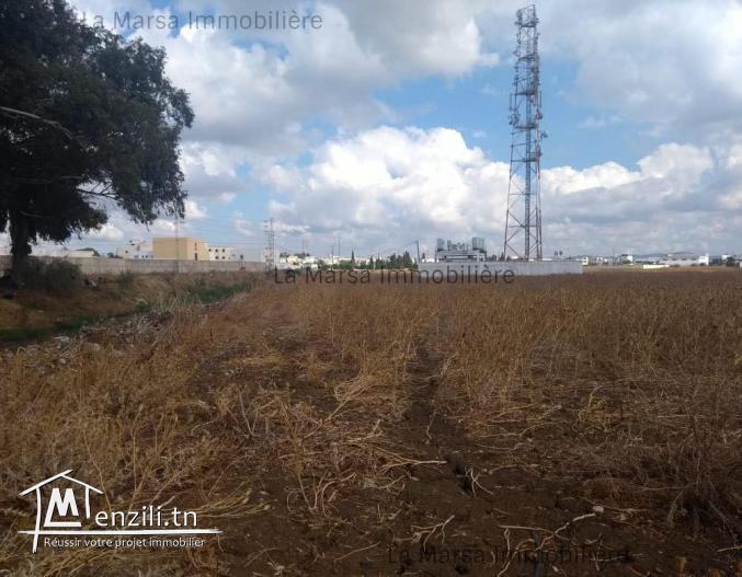 A Vendre terrain de 1426m² à Soliman