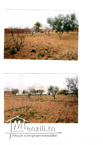 Terrain 924m2 a Sfax