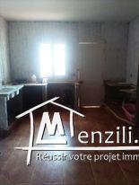 منزل ذو طابقين