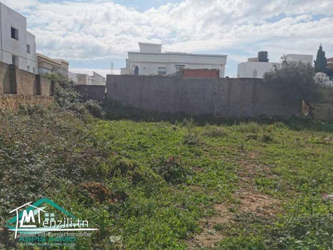 VT663:Terrain d’habitation 297 m² à cité Ezzouhour Kelibia