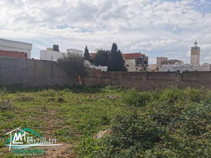 VT663:Terrain d’habitation 297 m² à cité Ezzouhour Kelibia