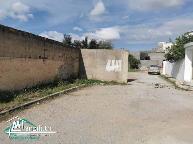 VT663:Terrain d’habitation 297 m² à cité Ezzouhour Kelibia