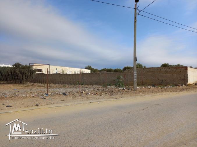 terrain A VENDRE A JABNOUN HAMMAMET YASMINE