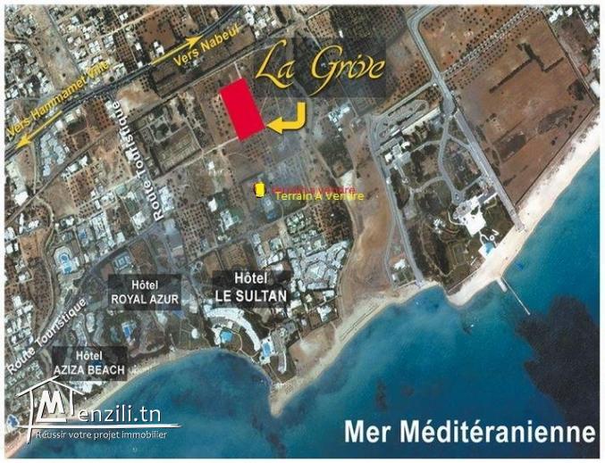 TERRAIN HAMMAMET NORD A SAISIR