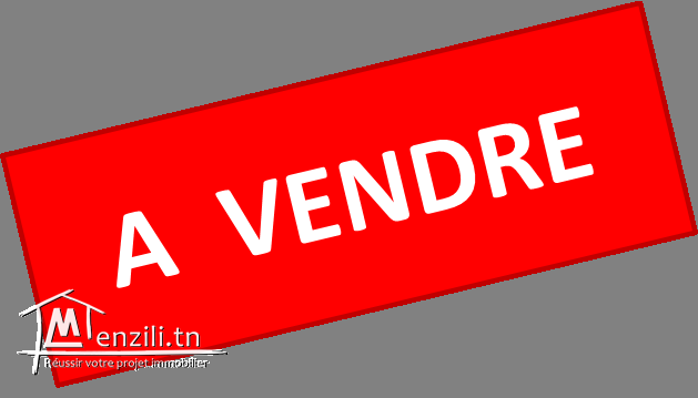 S+3, 127m2, à vendre