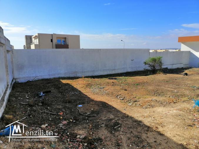 Belle occasion pour R+2