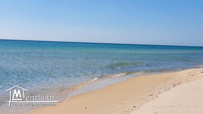 ???? Par jours ou plus! ????55260743 TAZARKA ! 40dt/jour! 500d/mois!