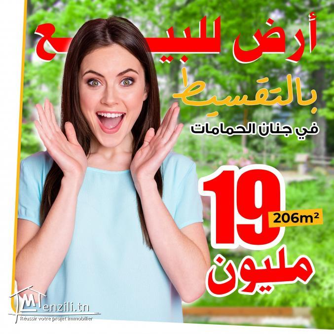 terrain à vendre 20.255.535