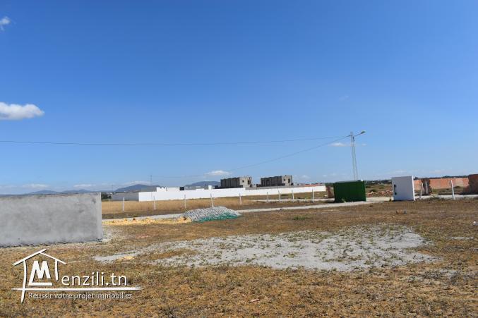 terrain à vendre 20.255.535