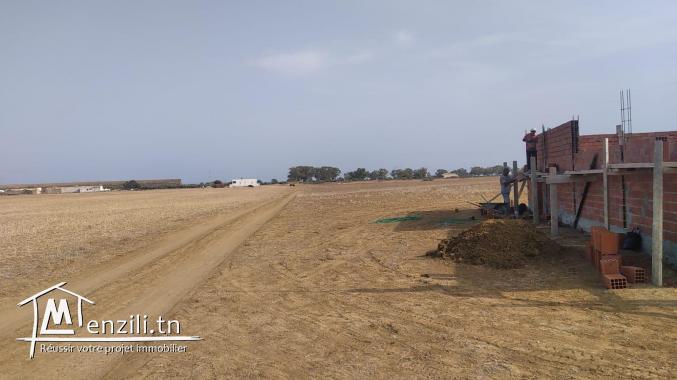 terrain à vendre 20.255.535