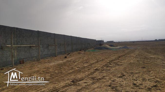 terrain à vendre 20.255.535