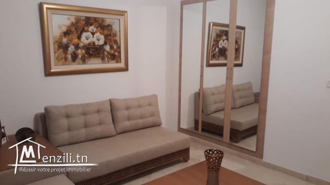 S+3 richement meublé