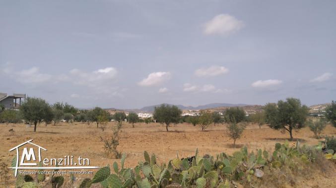 terrain à vendre 20.255.535