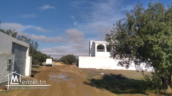 terrain à vendre 20.255.535