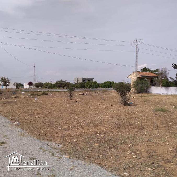 terrain à vendre 20.255.535