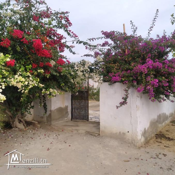 terrain à vendre 20.255.535