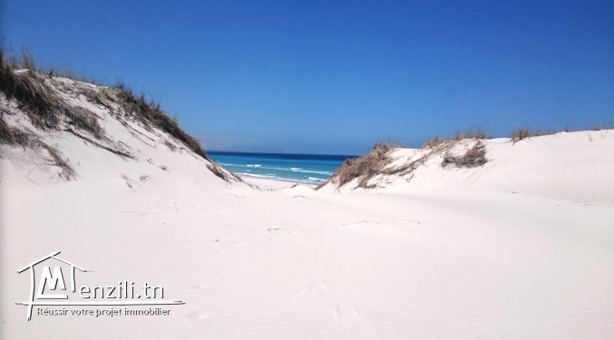 Deux lots à vendre, à 5 minutes de la plage Mansoura Kelibia