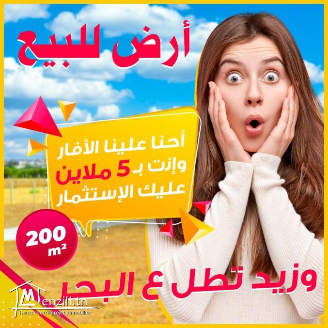 terrain à vendre 20.255.535