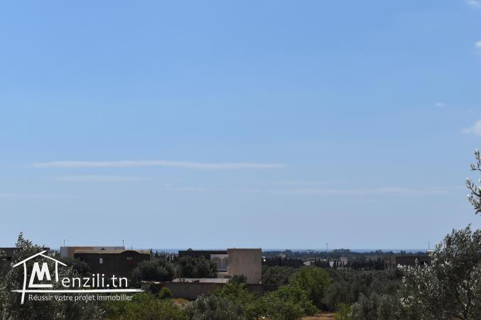 terrain à vendre 20.255.535