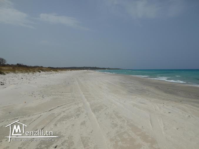 Lotissement de terrain à votre disposition