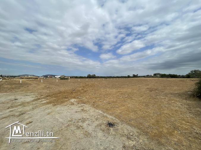 terrain à vendre 20.255.535