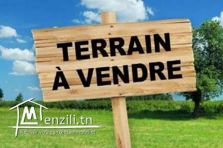 Des lots de terrains à vendre