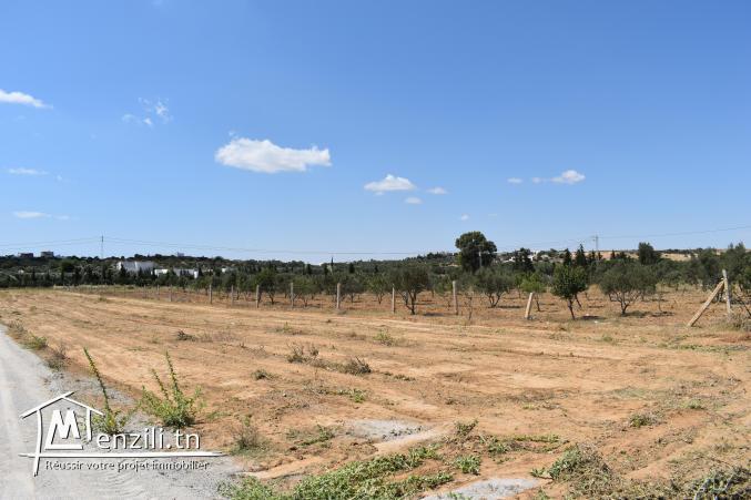 terrain à vendre 20.255.535