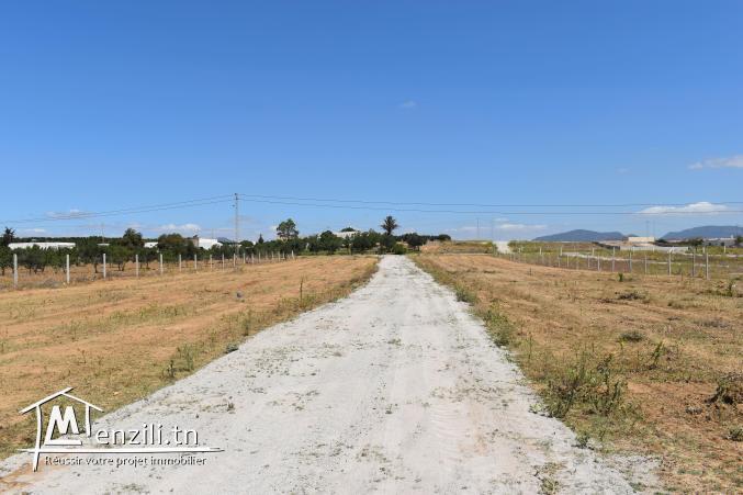 terrain à vendre 20.255.535