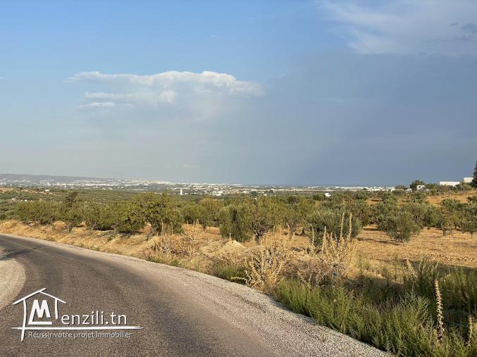 terrain à vendre 20.255.535