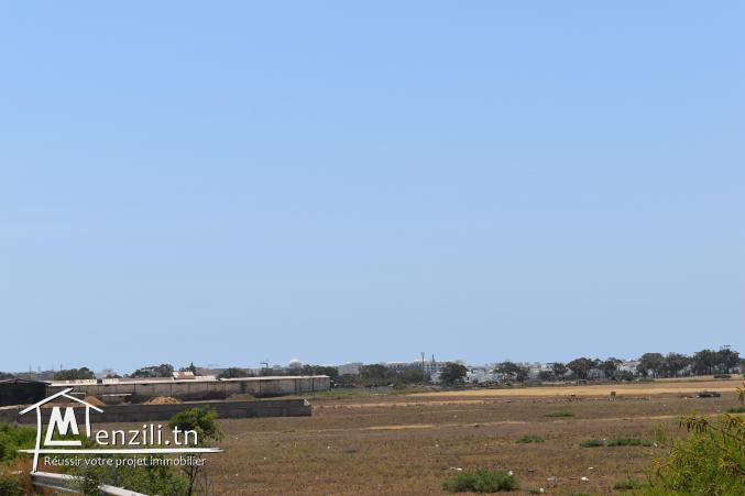 terrain à vendre 20.255.535