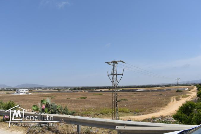 terrain à vendre 20.255.535