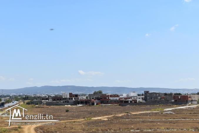 terrain à vendre 20.255.535