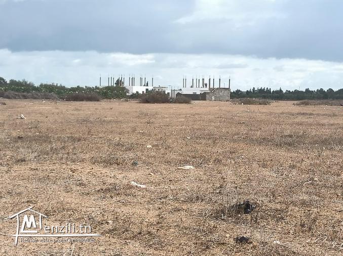 terrain à vendre 20.255.535