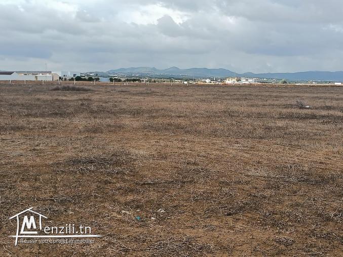 terrain à vendre 20.255.535