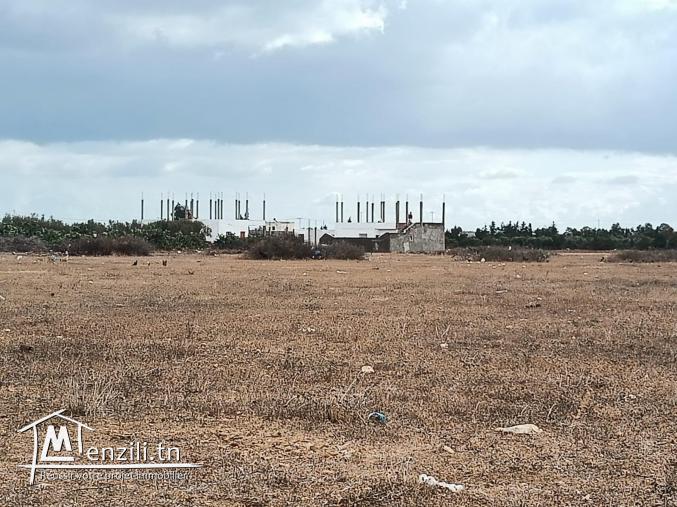 terrain à vendre 20.255.535