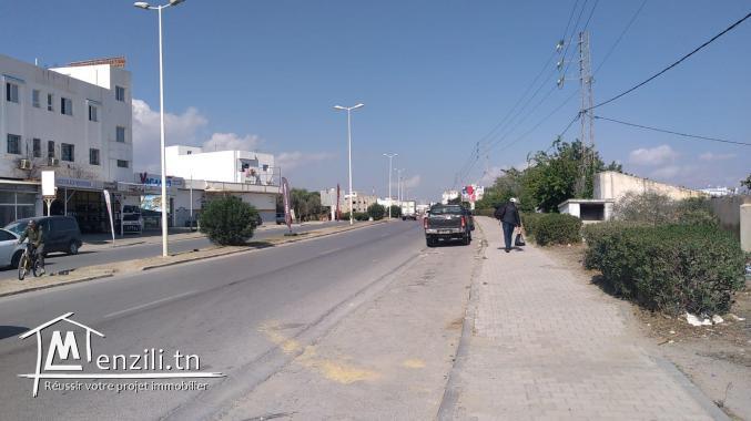 terrain à vendre 20.255.535