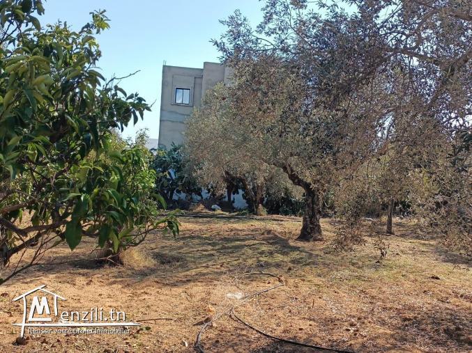 terrain à vendre 20.255.535