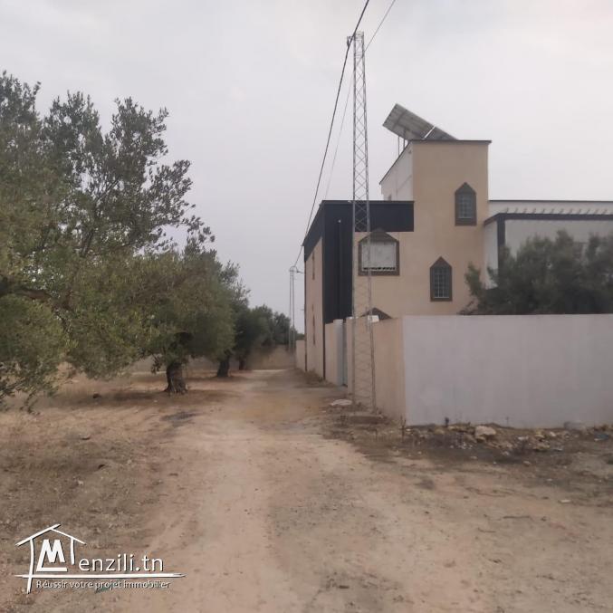 terrain à vendre 20.255.535