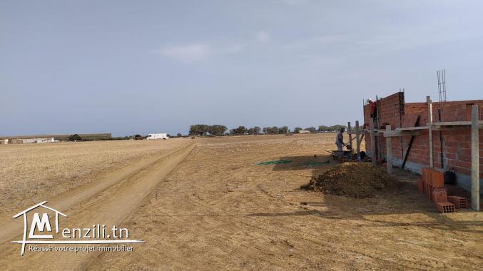 terrain à vendre 20.255.535