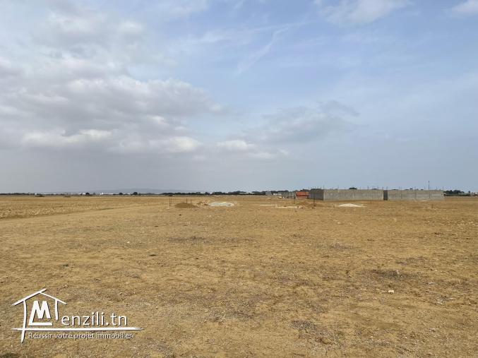 terrain à vendre 20.255.535