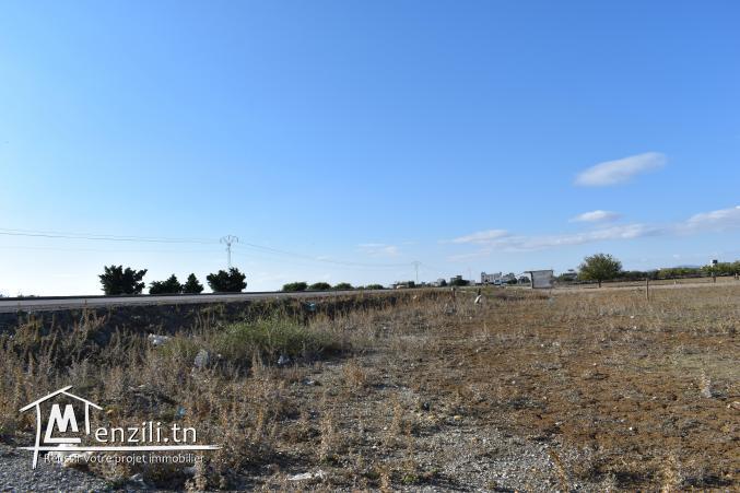 terrain à vendre 20.255.535