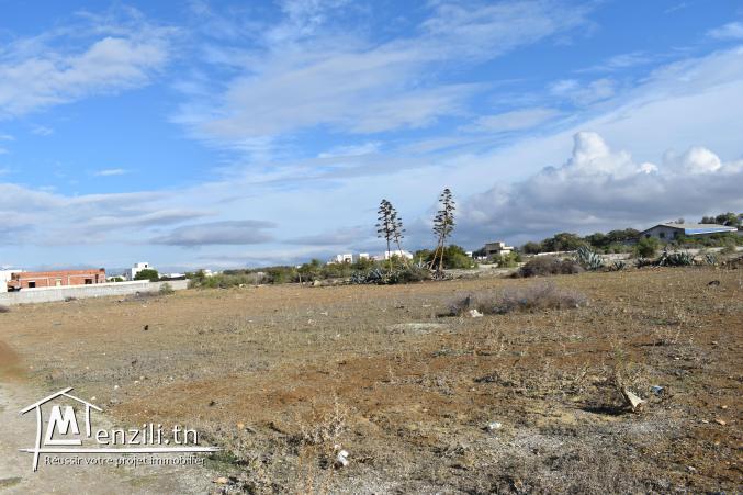 terrain à vendre 20.255.535