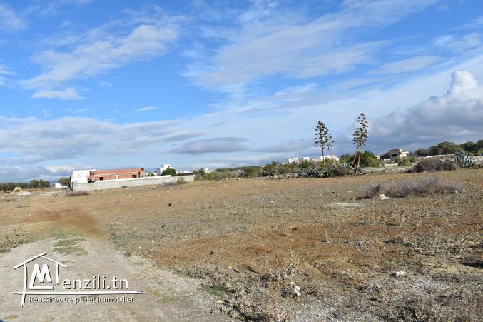 terrain à vendre 20.255.535