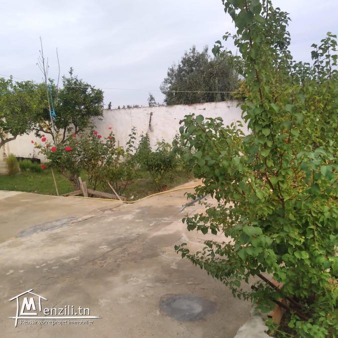 terrain à vendre 20.255.535