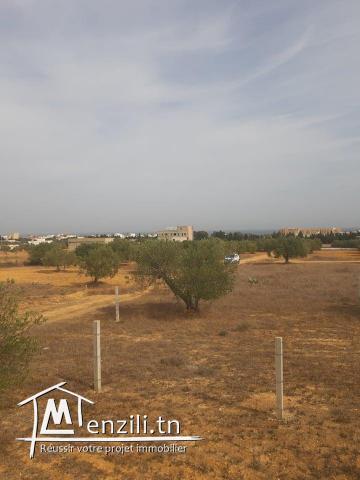 Terrain à vendre (Chott Myriam)