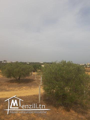 Terrain à vendre (Chott Myriam)