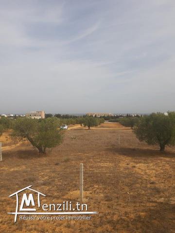 Terrain à vendre (Chott Myriam)