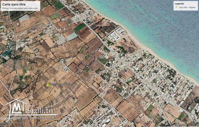 Terrain à vendre (Chott Myriam)